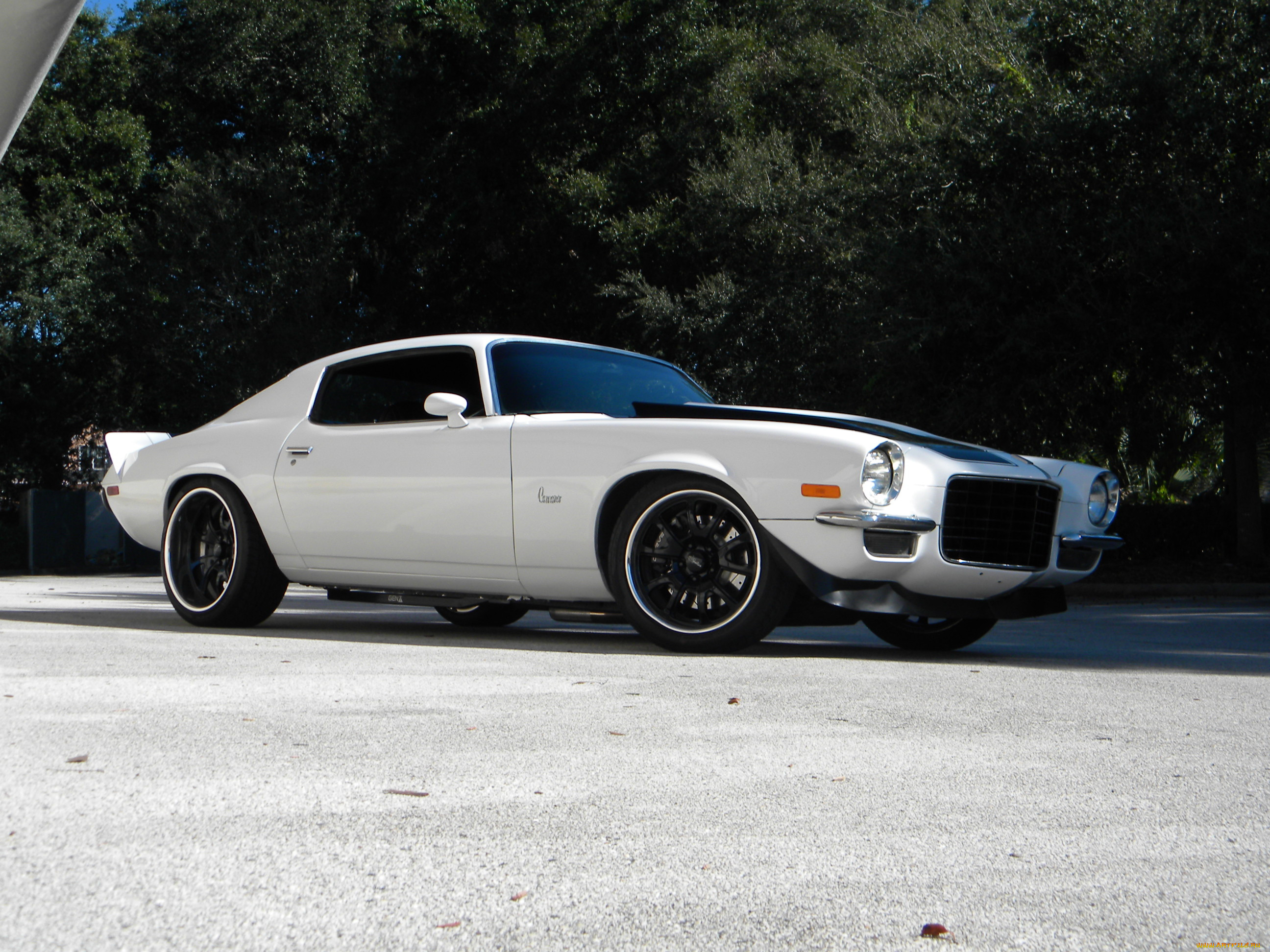 , camaro